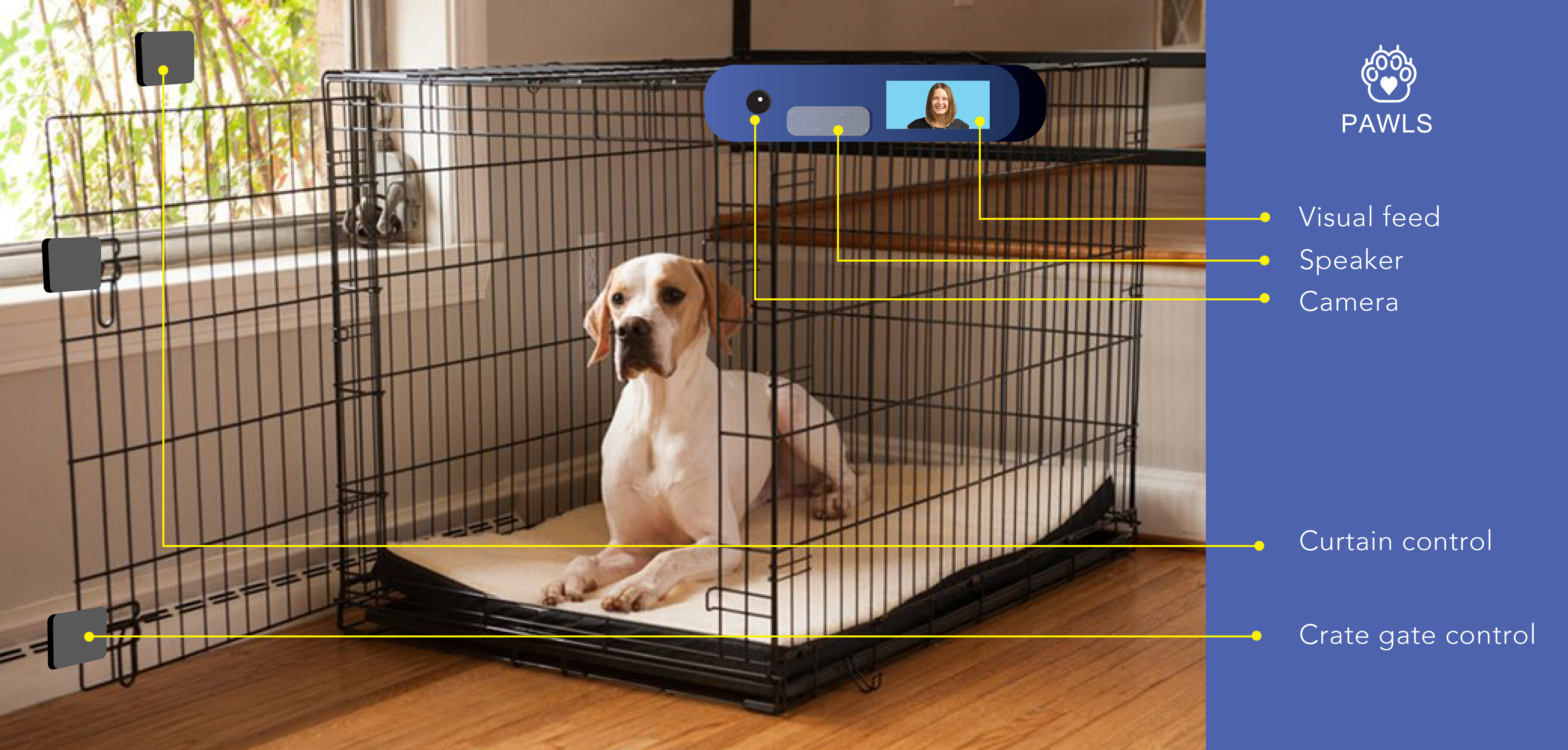 puppy crate camera